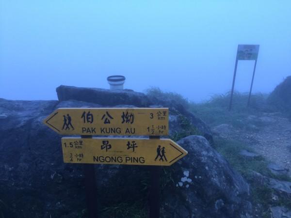 美丽的夜晚